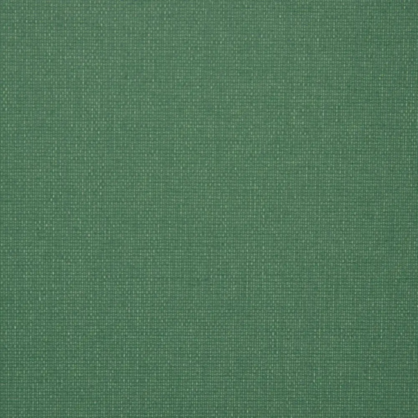 dark green 016