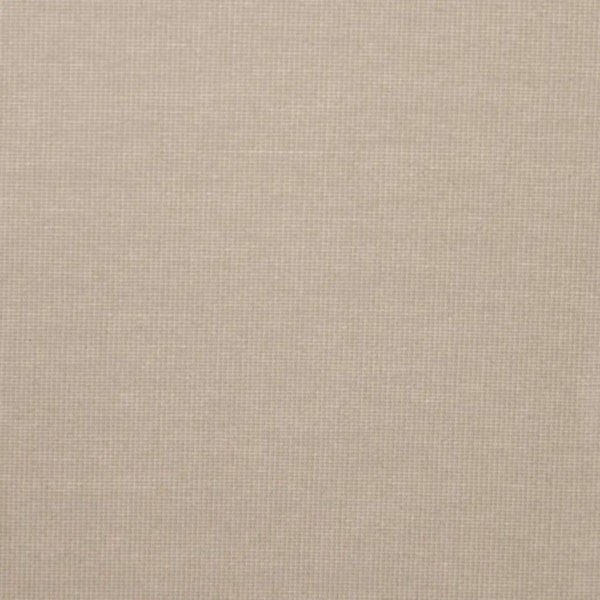 gray beige 240