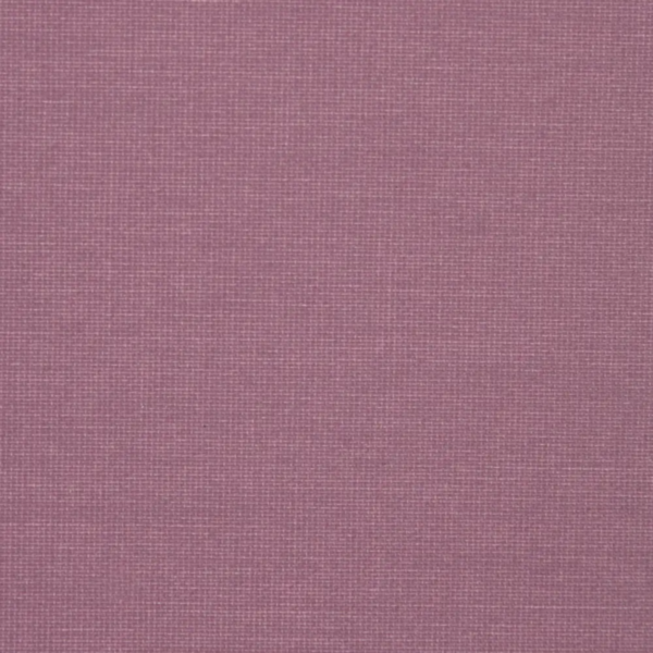 purple 250