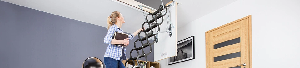 Scissor Ladders