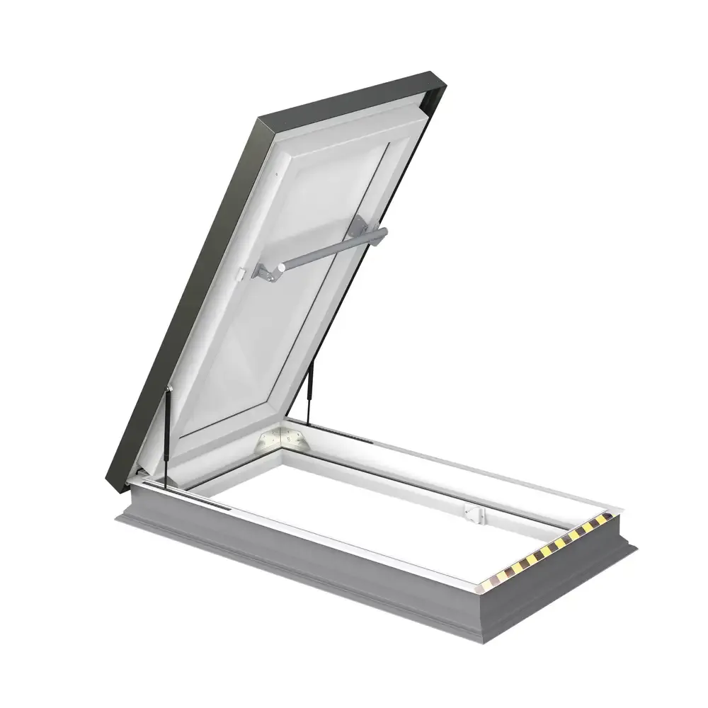 Flat roof access door DRL