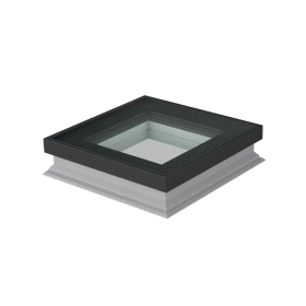 Walkable Skylight DXW DW6