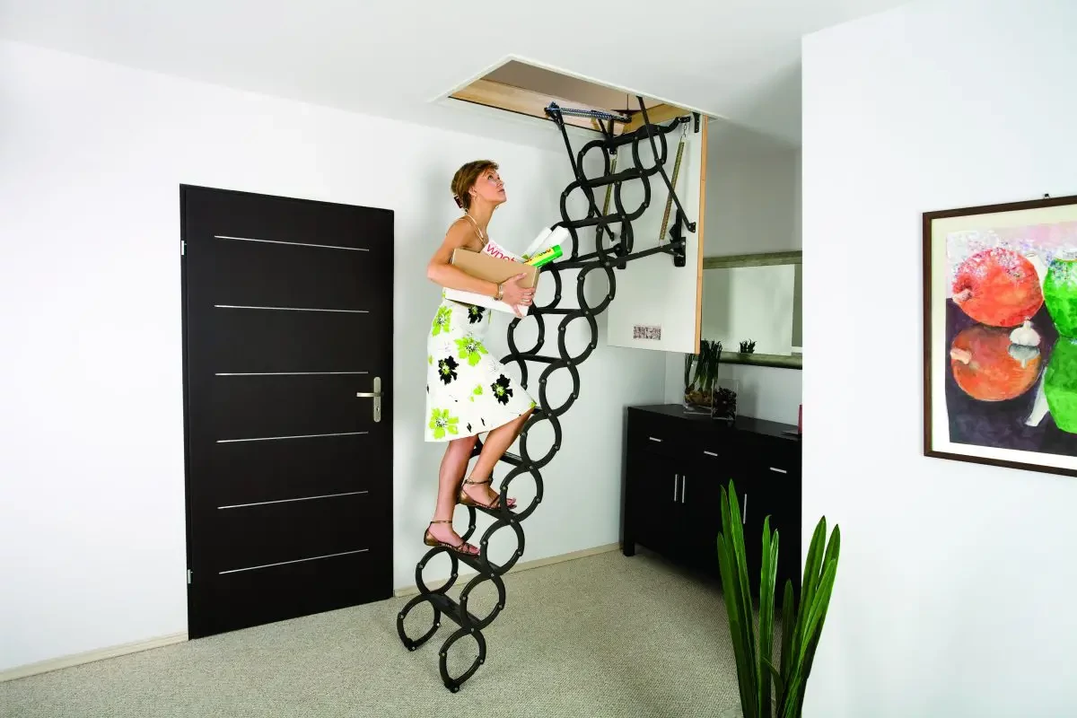 Roof Ladders: 17 Ways Attic Ladders Improve Your Home | FAKRO official store, image size:1200x800
