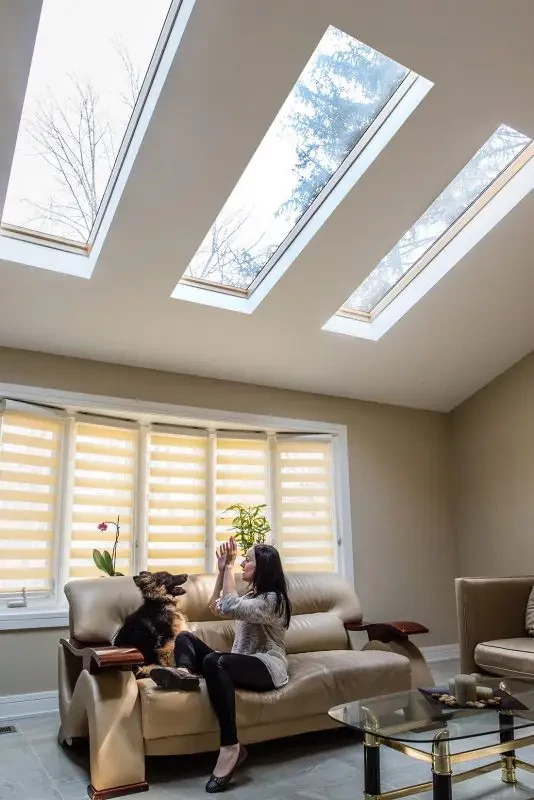 FAKRO Skylights