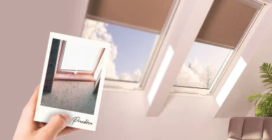 Replacing windows