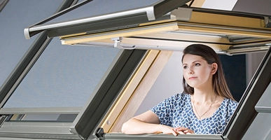 Roof Windows